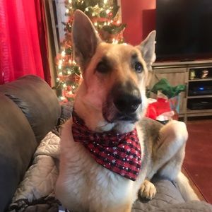 Meet your Posher, Randa